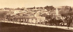 ALGER 000080 KOLEA